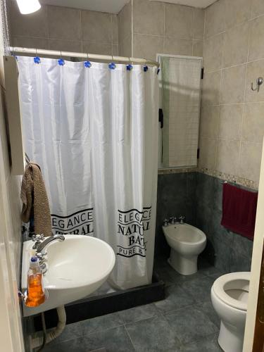 サン・ペドロにあるCiudad Abierta San Pedro Bs Asのバスルーム(洗面台、トイレ、シャワーカーテン付)