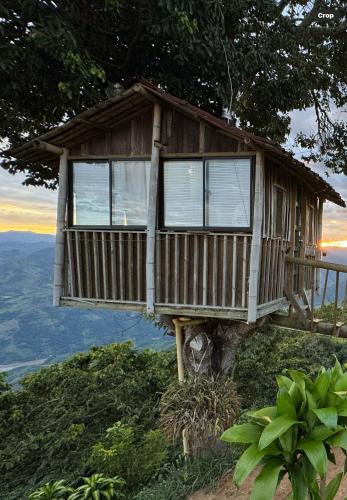 a tree house sitting on top of a tree at Luxury tree house at La meseta in Titiribí