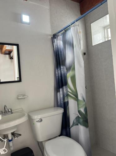 a bathroom with a toilet and a sink at Bonito Mini Departamento 9 in Puebla