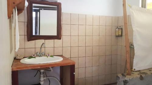 a bathroom with a sink and a mirror at RAIATEA - Fare Fetii in Taoru