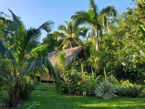 ein strohgedecktes Cottage inmitten eines Gartens in der Unterkunft bungalows tropicaux Jardin exotique in Las Terrenas