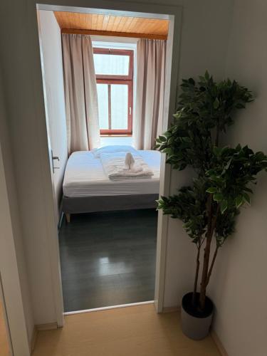 Central Living - 7 Minutes to Stephansplatz