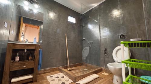un bagno con doccia, WC e lavandino di Casa de Toto 3 habitaciones a Puerto Iguazú