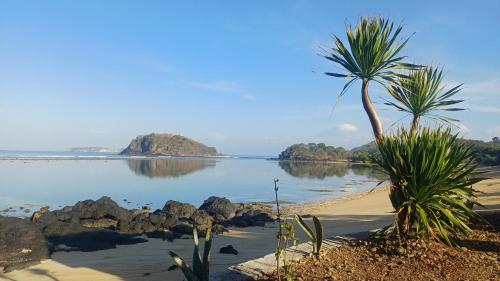 a beach with two palm trees and the water at Kertasari Golden House Homestay in Pulau Sarang