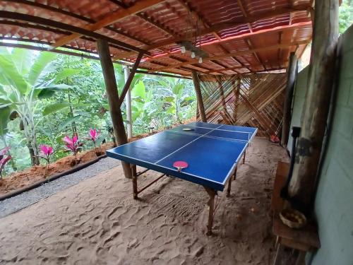 a ping pong table sitting inside of a house at Chalé Ecos do Jucu sauna-ofurô-piscina aquecida-wifi in Domingos Martins