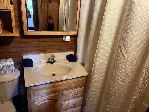 un baño con lavabo y espejo en Starboat Log Home, en Jersey Shore