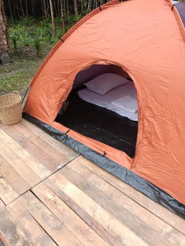 Φωτογραφία από το άλμπουμ του Chansor Homestay 3 By Siem Reap Homesteading σε Phumĭ Trach Pôk (2)