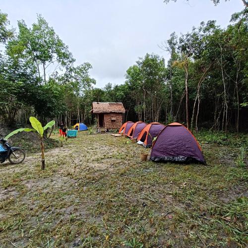 Κήπος έξω από το Chansor Homestay 3 By Siem Reap Homesteading