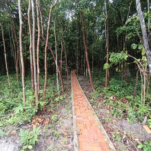 Κήπος έξω από το Chansor Homestay 3 By Siem Reap Homesteading