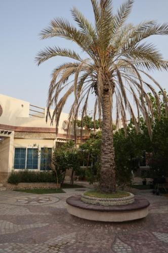 a palm tree in front of a building at Emirati Stay Comfort & Local Charm Villas - 3 in Dubai
