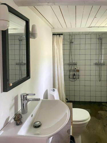 a bathroom with a sink and a toilet and a mirror at Renovated Scanian Farmhouse With Two Studios in Skåne-Tranås