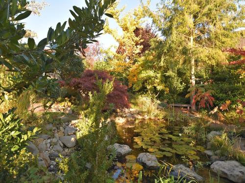 Ein Garten an der Unterkunft Wohnung in Bad Zwesten am Edersee