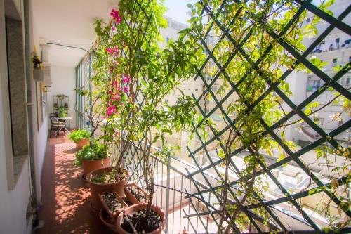 a balcony with potted plants and a window at Bari Grand Central Apartment in Bari
