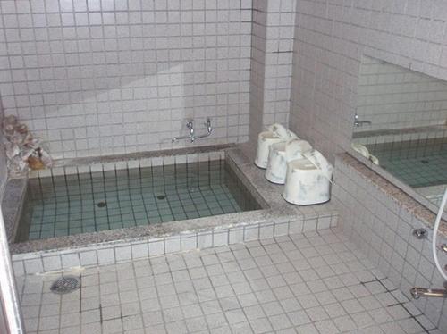 a bathroom with a tub with two toilets in it at Komaya Ryokan in Fujikawaguchiko