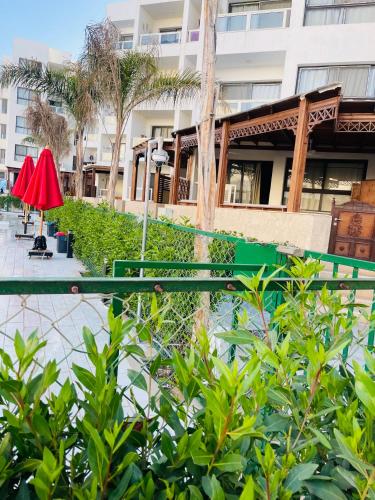 Gambar di galeri bagi بورتو سعيد شاليهات لإيجار من المالك di Port Said