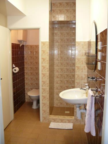 a bathroom with a sink and a shower and a toilet at Pension a restaurace Rudolec in Český Rudolec