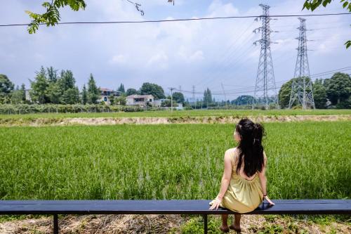 Gallery image of Live In Seclusion青城山-隐逸田居悦水别院 in Shiyangchang