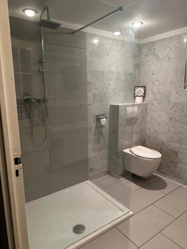 a bathroom with a shower and a toilet at woonboot de dobber loosdrechtse plassen 4-8 personen in Loosdrecht