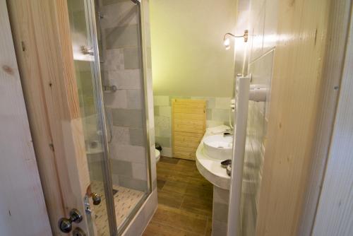 a bathroom with a shower and a sink and a toilet at Penzion U Pacošů in Malenovice