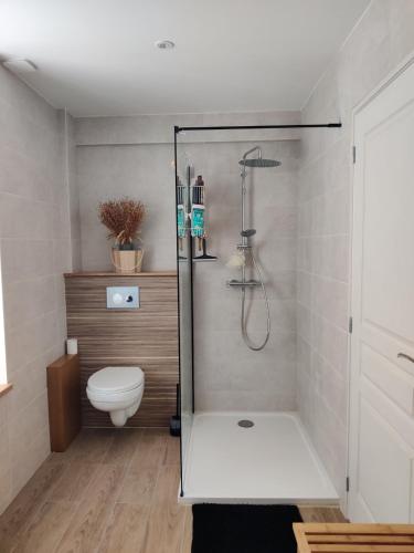 a bathroom with a shower and a toilet at A l'ombre du mûrier in Anglure
