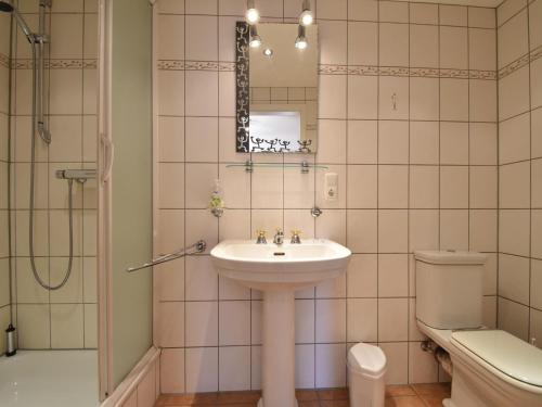 a bathroom with a sink and a toilet and a mirror at Cottage in Kuchelscheid with Terrace in Küchelscheid