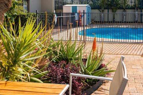 Sails Motel Geraldtonの敷地内または近くにあるプール