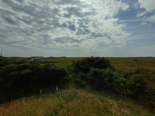 a field with bushes and a cloudy sky at Norwegian Architect-Designed Cabin From 1972 in Trans