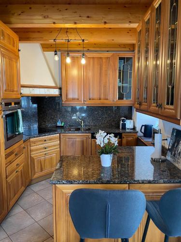 Kuchyň nebo kuchyňský kout v ubytování Duplex avec vue lac et montagnes