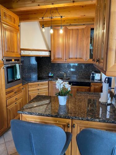 Kuchyň nebo kuchyňský kout v ubytování Duplex avec vue lac et montagnes