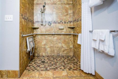 a bathroom with a shower with a tiled floor at Microtel Inn & Suites Cheyenne in Cheyenne