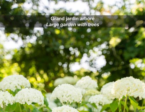 Κήπος έξω από το HÔTEL LA FERME DE BOURRAN RODEZ - parking privé gratuit