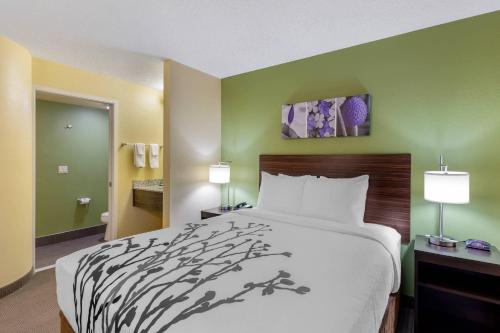 a bed in a hotel room with green walls at Sleep Inn Denver Tech Center in Greenwood Village