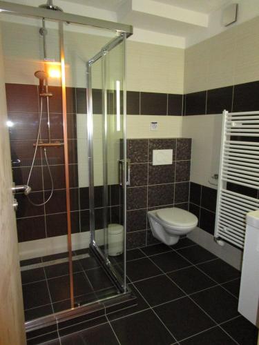 a bathroom with a shower and a toilet at Villa Joanna in Františkovy Lázně