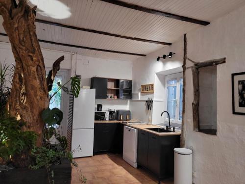 a kitchen with black and white appliances and a tree at Maisonnette avec terrasse sur le Gardon in Anduze