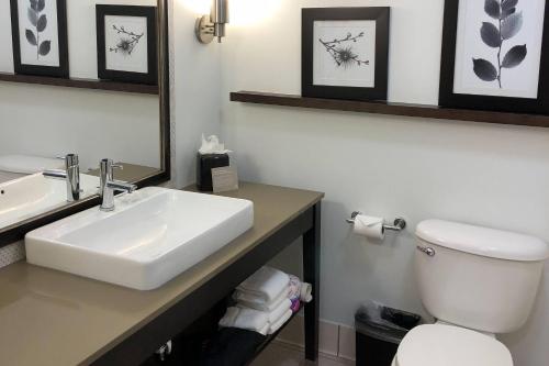 a bathroom with a sink and a toilet and a mirror at Country Inn & Suites by Radisson, San Jose International Airport, CA in San Jose