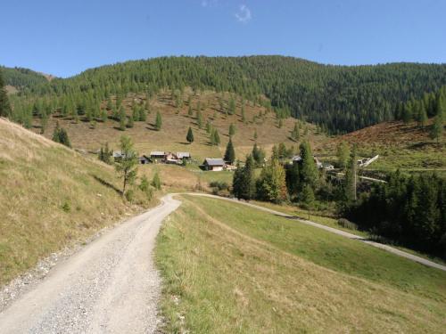 a dirt road in the middle of a mountain at Apartment in Feld am See by Brennsee Lake in Feld am See