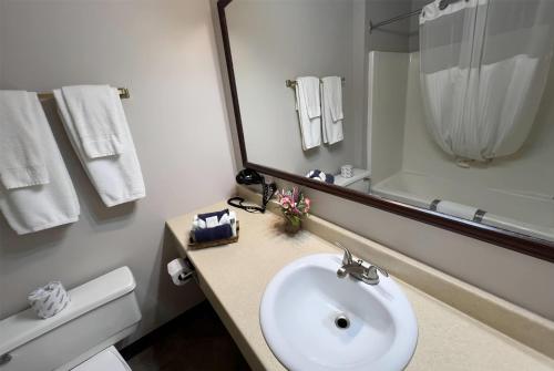 a bathroom with a sink and a toilet and a mirror at Ramada by Wyndham Florenceville in Florenceville