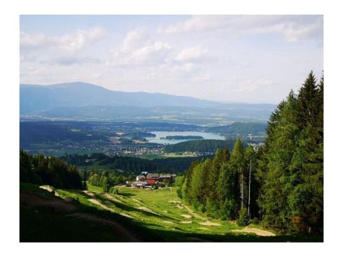 a view of a valley with a lake and trees at Holiday home Anna Comfortable Vacation Home in Faak am See
