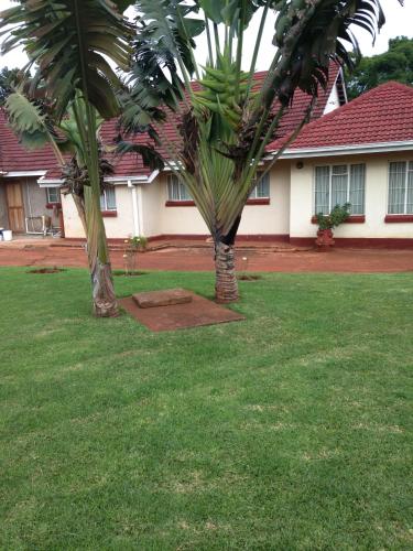a house with two palm trees in a yard at Palm villa in Harare