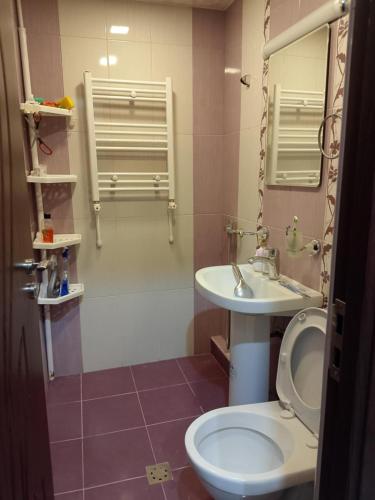 un baño con inodoro y lavabo en Anush, en Sisian