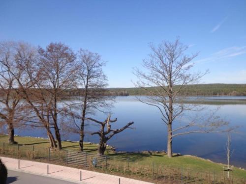 a view of a lake with trees in the foreground at Bodenwöhr Lakeside Gem in Bodenwöhr