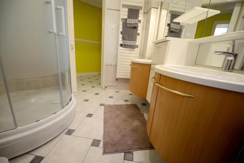 a bathroom with a shower and a sink and a toilet at Gites de l'Austrasie in Metz