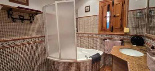 a bathroom with a shower and a sink at Casa Renacimiento in Coín