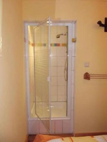 a shower with a glass door in a bathroom at Ferienwohnung Regina in Zinnowitz