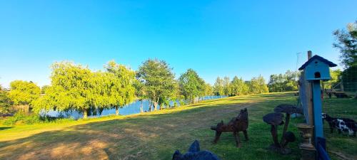 a grassy field with a bird house next to a river at Lakeview Petting Pod in Chelmsford