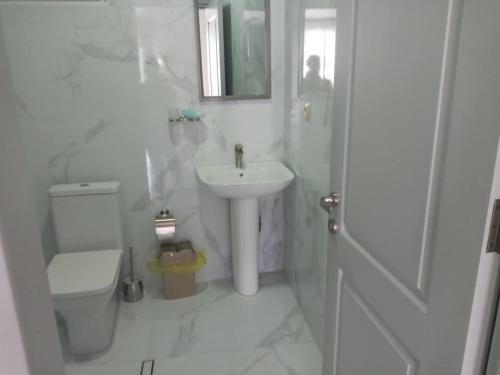 a white bathroom with a sink and a toilet at Goga Guest House in Kvariati