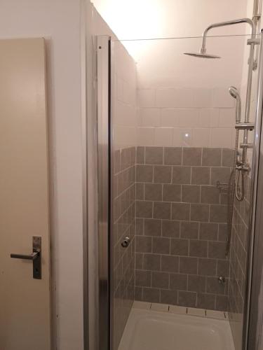 a shower with a glass door in a bathroom at Ubytování na faře in Prague