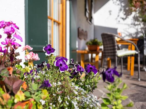 a bunch of purple flowers on a patio at Alpenapartment mit Garten in Trauchgau