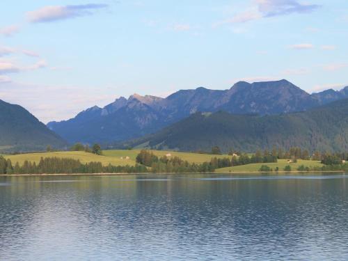 a view of a lake with mountains in the background at Alpenapartment mit Garten in Trauchgau