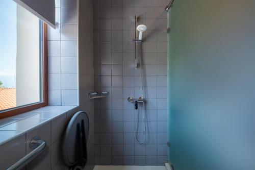 a bathroom with a shower with a toilet and a window at Kabadoni Boutique Hotel in Sighnaghi
